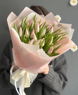 Букет "27 нежно-розовых тюльпанов в оформлении"
