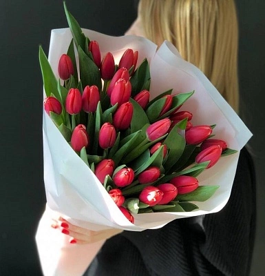 31 красный тюльпан в оформлении