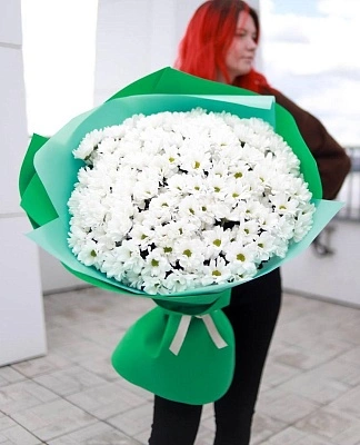 Ромашковый гигант