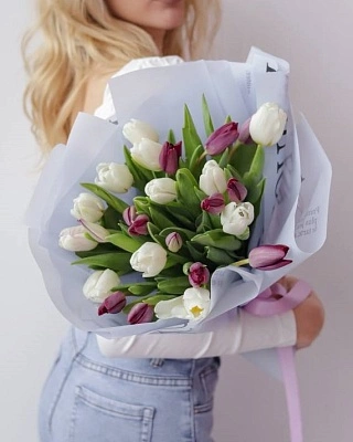 25 белых и фиолетовых тюльпанов